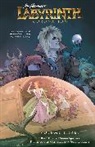 DANIEL BAYLISS, Ryan Ferrier, Irene Flores, Jim Henson, Simon Spurrier - Jim Henson's Labyrinth: Coronation Vol. 3