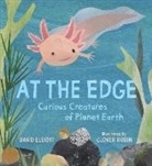 David Elliott, Clover Robin - At the Edge: Curious Creatures of Planet Earth