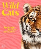 DK - Wild Cats