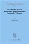 Stephan Hobe - Die rechtlichen Rahmenbedingungen der wirtschaftlichen Nutzung des Weltraums.