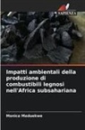 Monica Maduekwe - Impatti ambientali della produzione di combustibili legnosi nell'Africa subsahariana