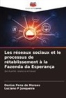 Luciano P Junqueira, Denise Pena de Moraes - Les réseaux sociaux et le processus de rétablissement à la Fazenda da Esperança