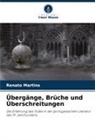 Renato Martins - Übergänge, Brüche und Überschreitungen