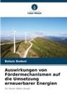 Balazs Bodoni - Auswirkungen von Fördermechanismen auf die Umsetzung erneuerbarer Energien