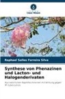 Raphael Salles Ferreira Silva - Synthese von Phenazinen und Lacton- und Halogenderivaten