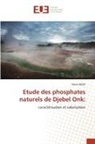 Nacer Bezzi - Etude des phosphates naturels de Djebel Onk: