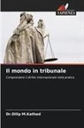 Dilip M. Kathad, Dr.Dilip M.Kathad - Il mondo in tribunale