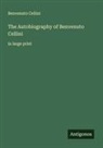 Benvenuto Cellini - The Autobiography of Benvenuto Cellini