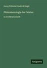 Georg Wilhelm Friedrich Hegel - Ph&auml;nomenologie des Geistes