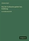 Johanna Spyri - Was die Großmutter gelehrt hat; Erzählung