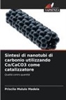 Priscila Mululo Madela - Sintesi di nanotubi di carbonio utilizzando Co/CaCO3 come catalizzatore