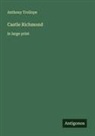 Anthony Trollope - Castle Richmond