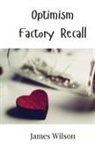 James Wilson - Optimism Factory Recall