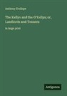 Anthony Trollope - The Kellys and the O'Kellys; or, Landlords and Tenants