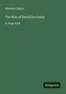 Abraham Cahan - The Rise of David Levinsky
