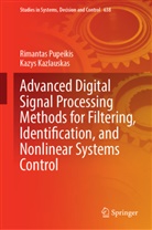 Kazys Kazlauskas, Rimantas Pupeikis - Advanced Digital Signal Processing Methods for Filtering, Identification, and Nonlinear Systems Control