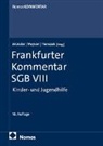 Thomas Meysen, Johannes Münder, Thomas Trenczek - Frankfurter Kommentar SGB VIII: FK-SGB VIII