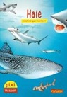 Sophia Willmann, Jochen Windecker - Pixi Wissen 46: VE5 Haie