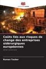 Roman Tauber - Coûts liés aux risques de change des entreprises sidérurgiques européennes