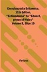 Various - Encyclopaedia Britannica, 11th Edition, "Echinoderma" to "Edward, prince of Wales" Volume 8, Slice 10