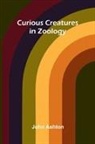 John Ashton - Curious Creatures in Zoology