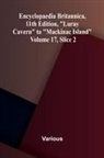 Various - Encyclopaedia Britannica, 11th Edition, "Luray Cavern" to "Mackinac Island" Volume 17, Slice 2