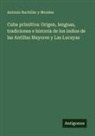 Antonio Bachiller y Morales - Cuba primitiva: Origen, lenguas, tradiciones e historia de los indios de las Antillas Mayores y Las Lucayas