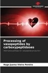 Hugo Juarez Vieira Pereira - Processing of vasopeptides by carboxypeptidases