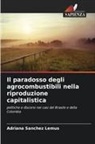 Adriana Sanchez Lemus - Il paradosso degli agrocombustibili nella riproduzione capitalistica