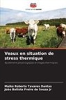 Maiko Roberto Tavares Dantas, João Batista Freire de Souza Jr - Veaux en situation de stress thermique