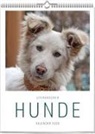Vivendi Ars, ars vivendi verlag - Literarischer Hunde - Kalender 2026