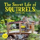 Workman Calendars, Nancy Rose, Nancy Calendars Rose - Secret Life of Squirrels Wall Calendar 2026