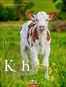 Marie-Luce Hubert, Jean-Louis Klein, Marie-Luce Hubert, Marie-Luce Hubert, Jean-Louis Klein, Jean-Louis Klein - Kuh Kalender 2026