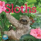 Workman Calendars, Lucy Cooke, Lucy Calendars Cooke - Original Sloths Mini Wall Calendar 2026