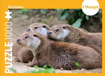 Haupt Verlag - Fischotter - Puzzle - 1000 Teile
