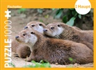 Haupt Verlag - Fischotter - Puzzle