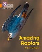 Catherine Baker - Amazing Raptors