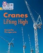 Samantha Montgomerie - Big Cat Phonics for Little Wandle Letters and Sounds Revised