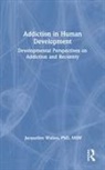 Bruce Carruth, Carruth Bruce, Jacqueline Wallen, Wallen Jacqueline - Addiction in Human Development