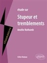 Cécile Narjoux, Hélène Narjoux - Etude sur Stupeur et tremblements, Amélie Nothomb