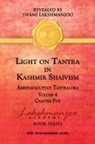 Swami Lakshmanjoo - Light on Tantra in Kashmir Shaivism - Volume 4 - Chapter Five