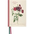 Pierre-Joseph Redouté - DUMONT - Redoutés Rosen Taschenkalender 2026 - Terminplaner mit Wochenkalendarium - 11 x 16 cm - Blumen-Design mit Rosen von P.J. Redouté