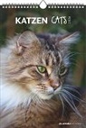 Alpha Edition - Katzen Kalender 2026 - Wandkalender 23,7&times;34 cm mit Katzenmotiven & Platz f&uuml;r Notizen, 4-sprachiges Kalendarium, dekorativer Bildkalender mit Zusatzinfos f&uuml;r Katzenliebhaber