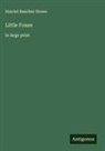 Harriet Beecher Stowe - Little Foxes