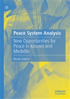 Marije Luitjens - Peace System Analysis
