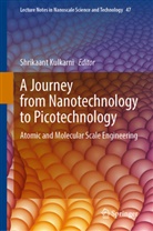 Shrikaant Kulkarni - A Journey from Nanotechnology to Picotechnology