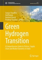 Sanjay Chaudhry, Pradeep Chauhan, Avishek Ghosal, Avishek Ghosal et al, Anil Kumar - Green Hydrogen Transition