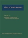 Morin, Flora of North America Editorial Committee, Morin Nancy R. - Flora of North America: Volume 22: Magnoliophyta: Alismatidae, Arecidae, Commelinidae(in part), and Zingiberidae