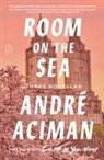 André Aciman - Room on the Sea