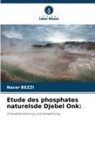 Nacer Bezzi - Etude des phosphates naturelsde Djebel Onk: